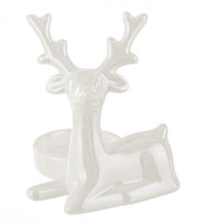 6x P.Candela Renna Gloss