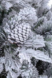 Albero Arves Innevato H270-3293Rami