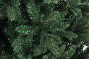 Albero Frejus Fr H240-2949Rami