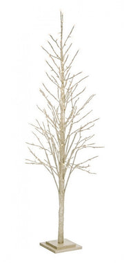 2x Albero Glad Champagne H180