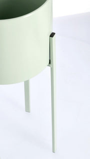 Set2 P.Fiore Ester To Verde Salvia