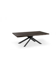 Tavolo Allungabile 200-300 x 100 cm - Spike