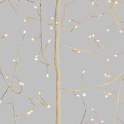 Ramo CLIMBER TIGLIO Bianco 504 MicroLED FlashLED 4m+300cm Luci di Natale