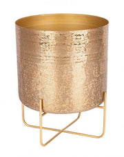 P.Vaso Varanasi Stand To Oro H42