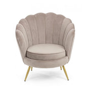 Poltrona retro in velluto grigio chiaro modello pavone